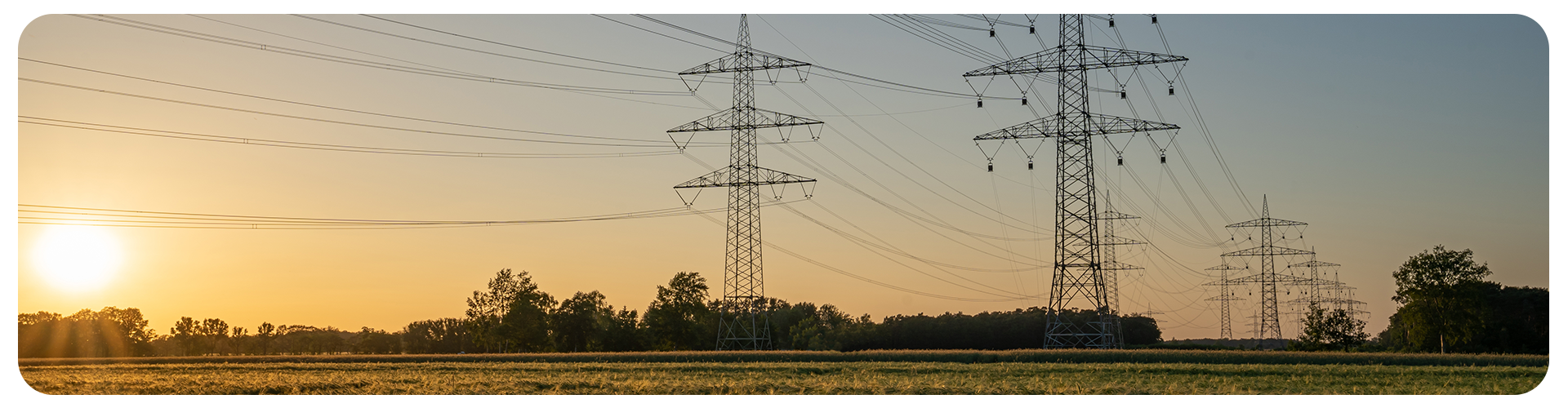TUSD e TUST: qual impacto na fatura de energia do seu negócio?
